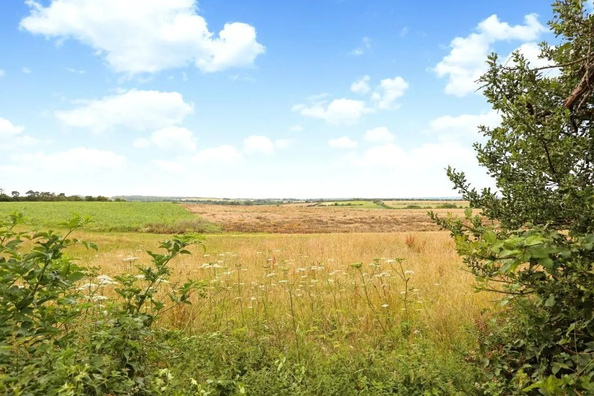 Bible Fields, Dummer, RG25