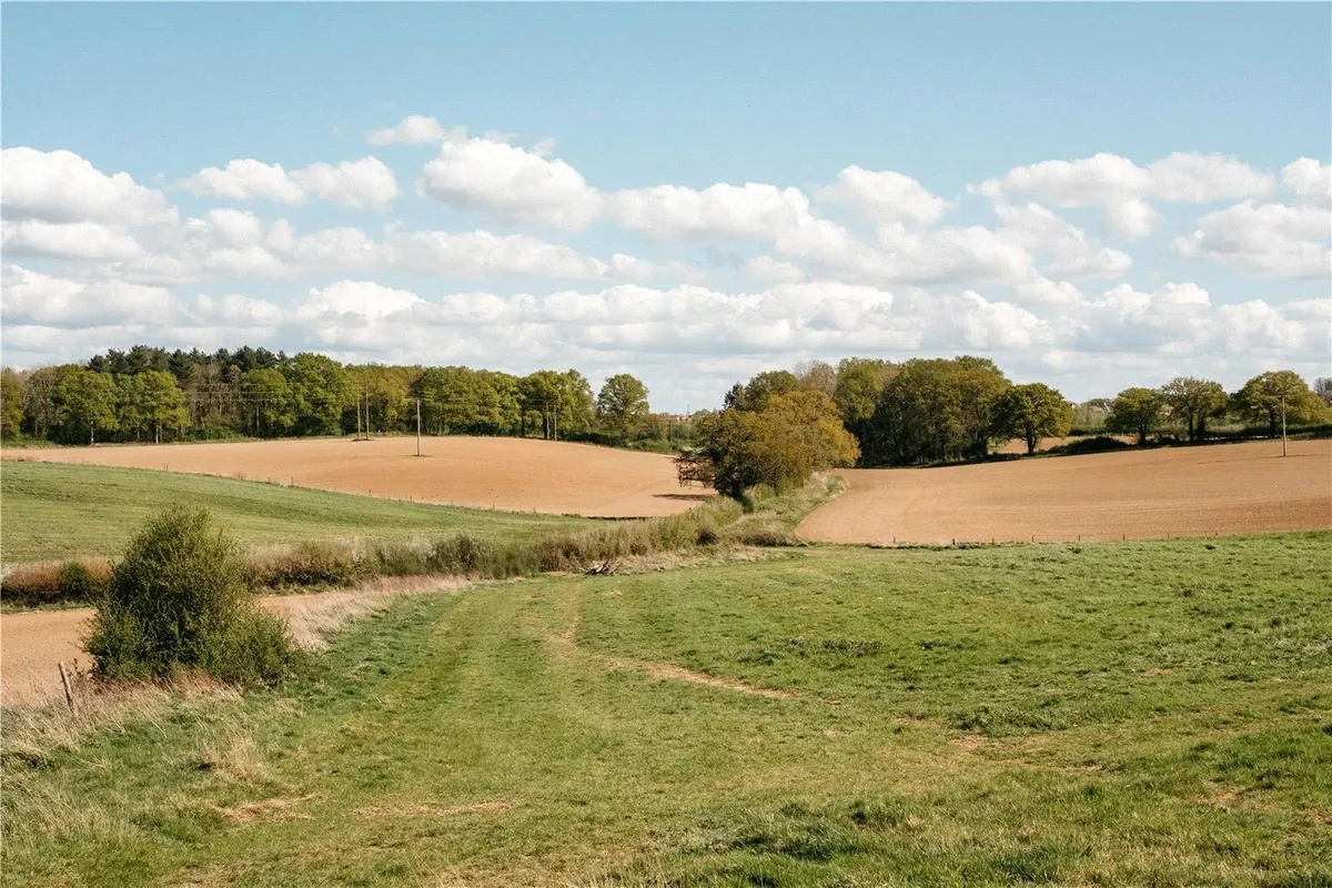 Oak Field Gardens, Sherborne St John, RG24