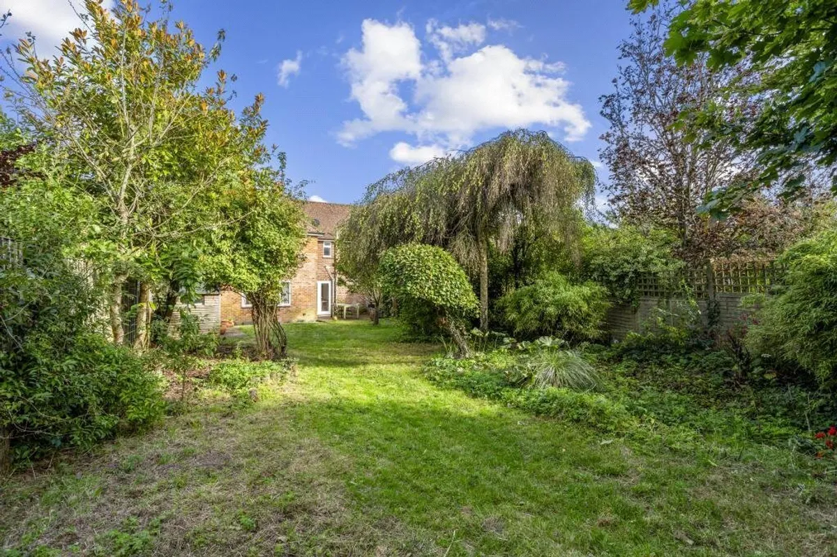 Bible Fields, Dummer, RG25