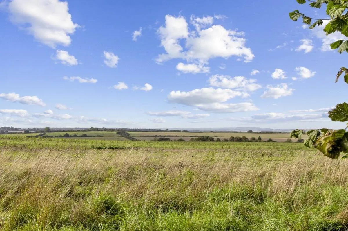 Bible Fields, Dummer, RG25