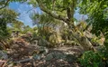 Property image gallery