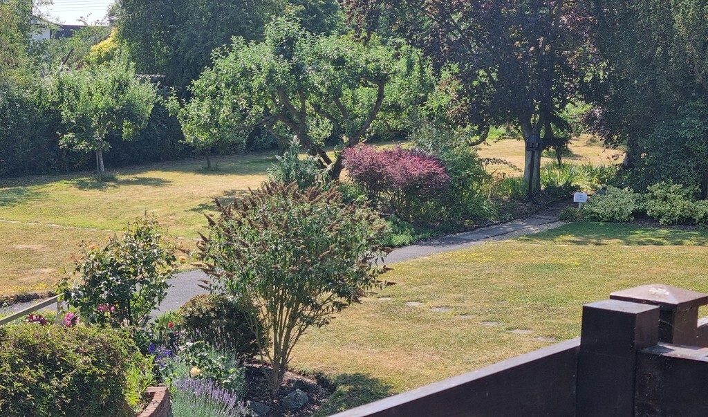 The Limes, Halesworth Image 10