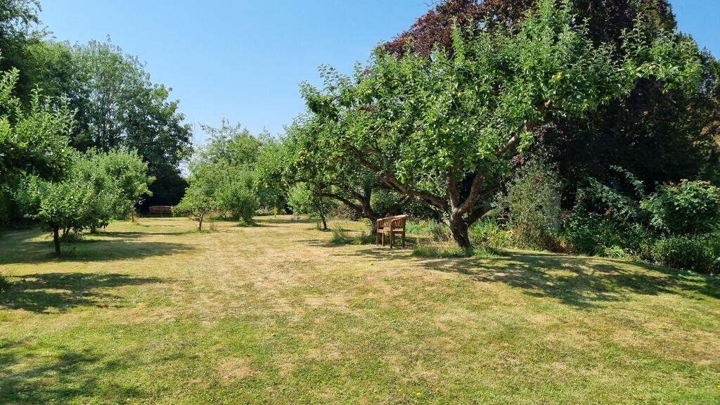 The Limes, Halesworth Image 14