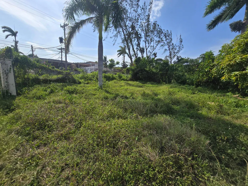PARADISE AVENUE St. James
