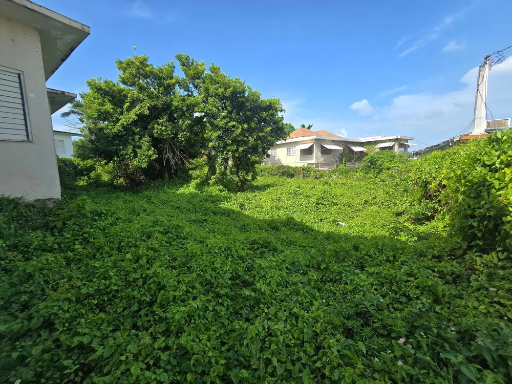 PARADISE AVENUE St. James