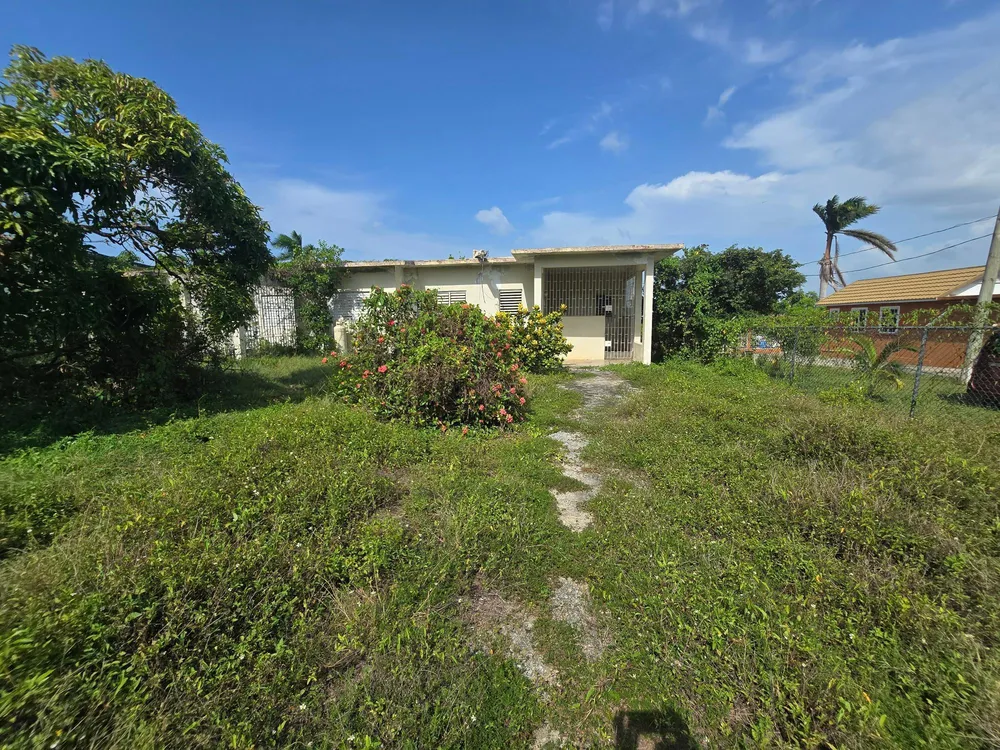 PARADISE AVENUE St. James