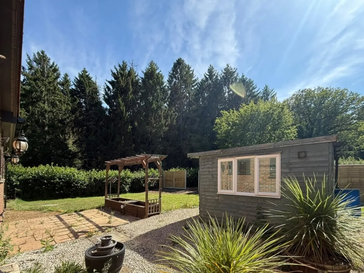 Plaistow Road Godalming GU8 photo 8