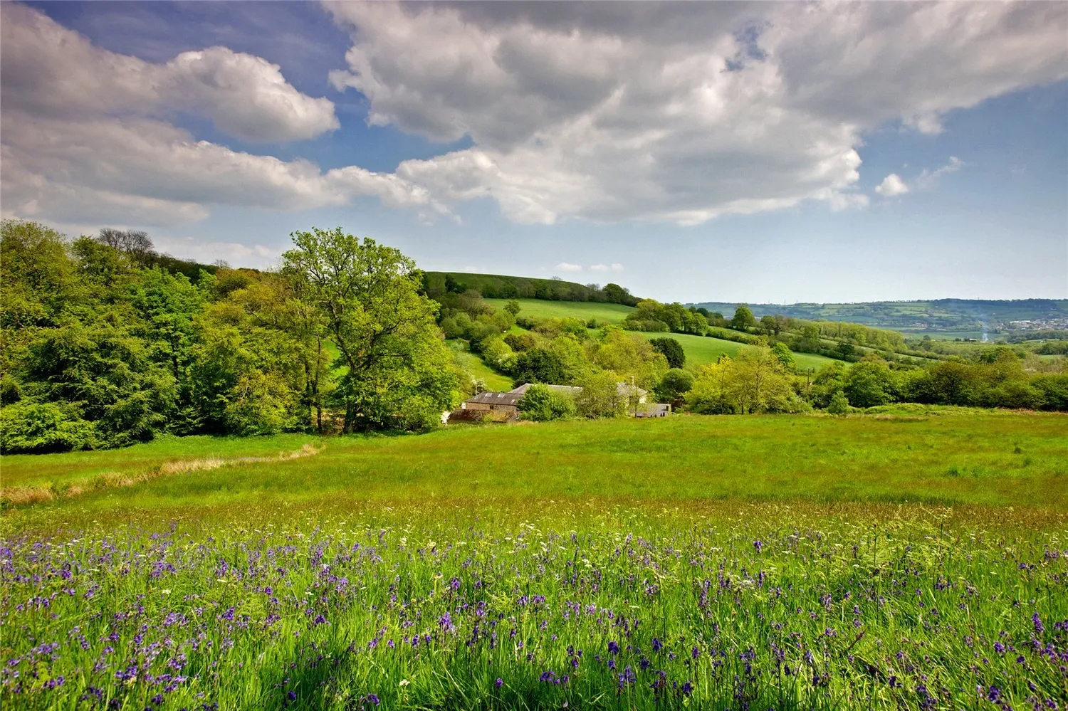 Combe Raleigh, Honiton, EX14 photo 26