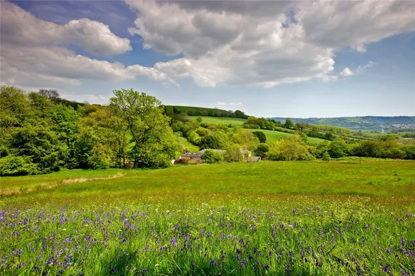 Combe Raleigh, Honiton, EX14 photo 26