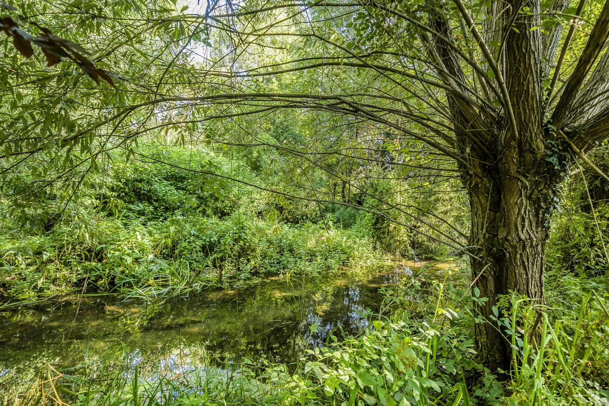 Ford, Salisbury, SP4 photo 14
