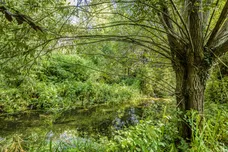 Ford, Salisbury, SP4 photo 14