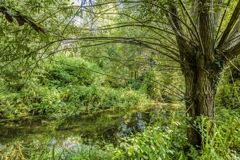 Ford, Salisbury, SP4 photo 14