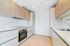 Dog Kennel Hill London SE22 photo 2