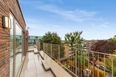 Dog Kennel Hill London SE22 photo 7