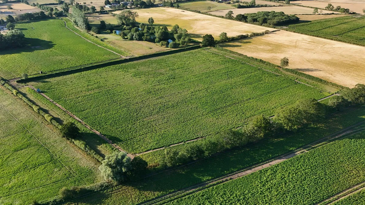 38.38 Acres of Land at Bolton