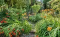 Property image gallery