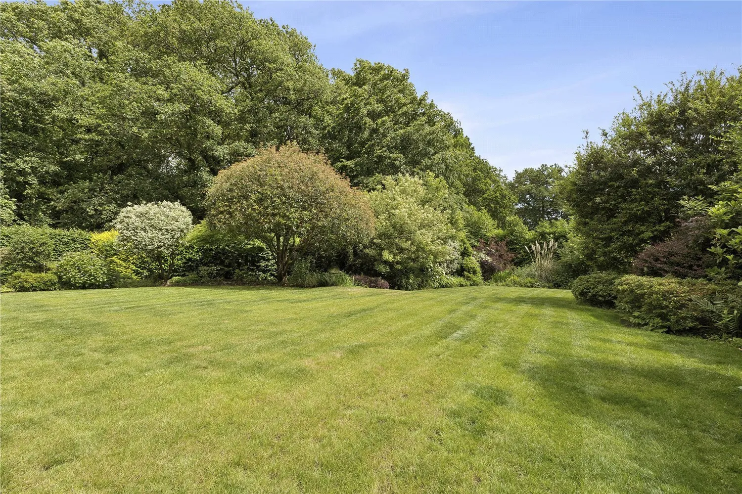 Lodsworth, Petworth, GU28 photo 3