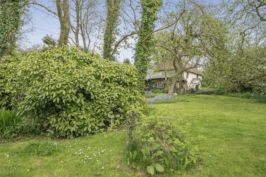Property Image 42