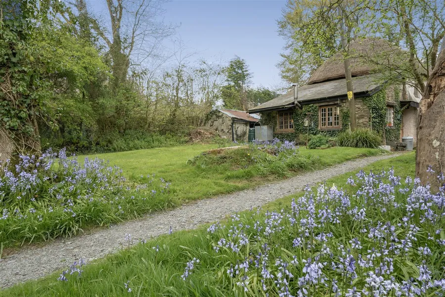 Property Image 43
