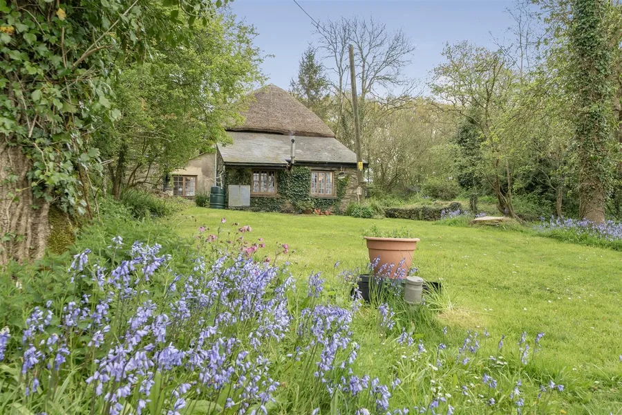 Property Image 44