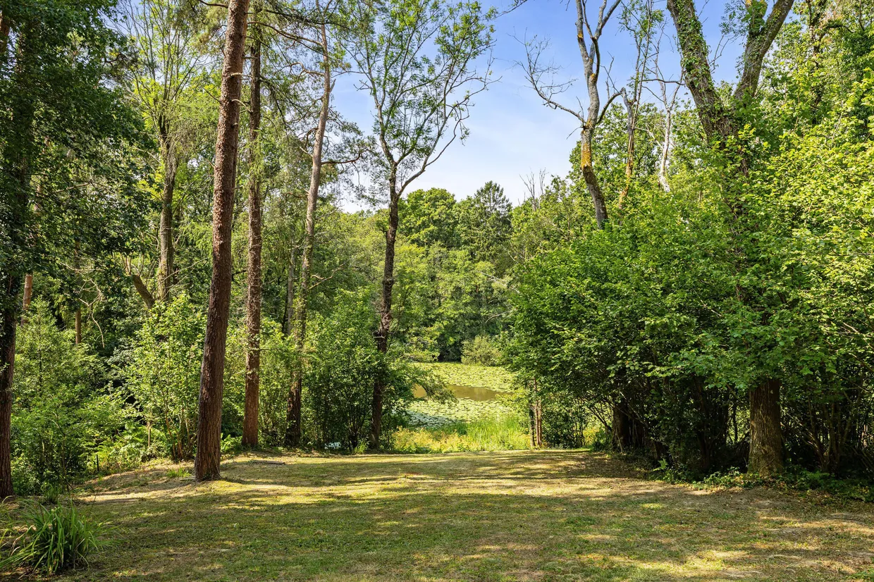 Vann Lake Road, Ockley, RH5 photo 28