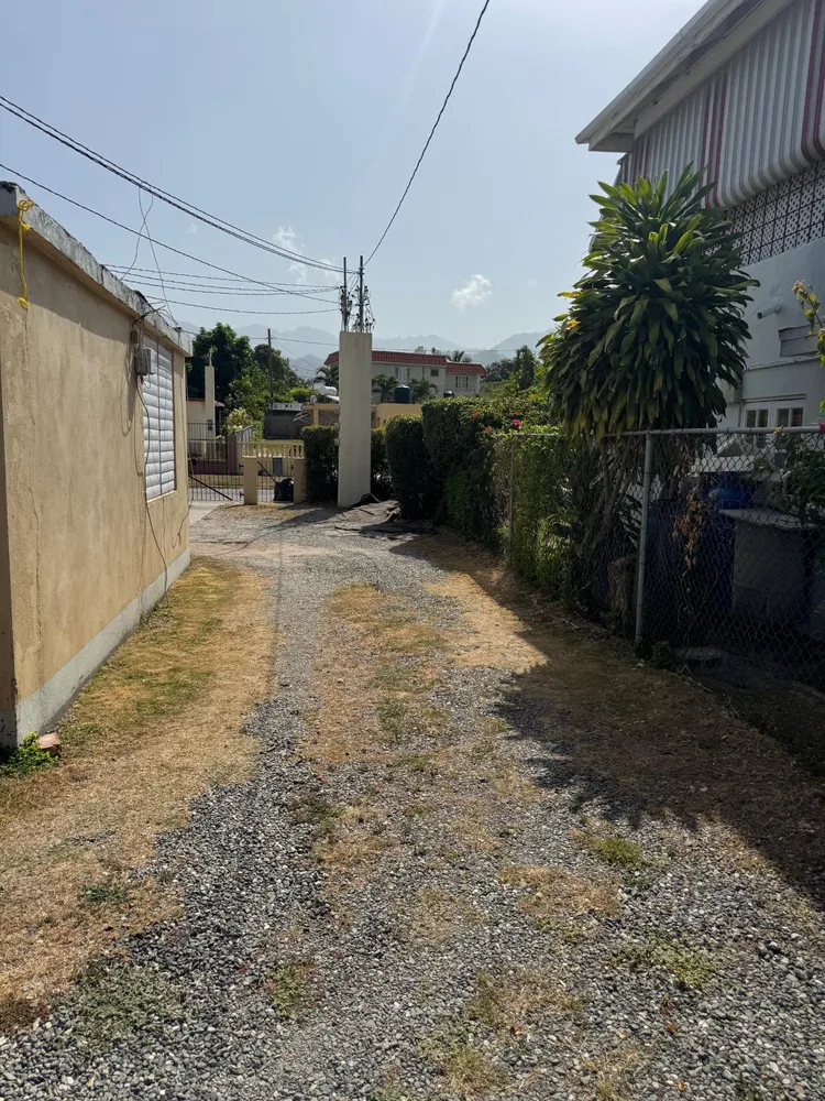 CARANATION WAY,   MONA KI Kingston  St. Andrew