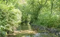 Property image gallery
