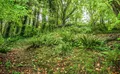 Property image gallery