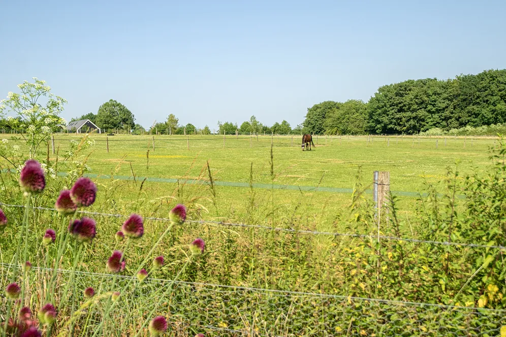 Stoke Charity Road, Kings Worthy, SO21 photo 17