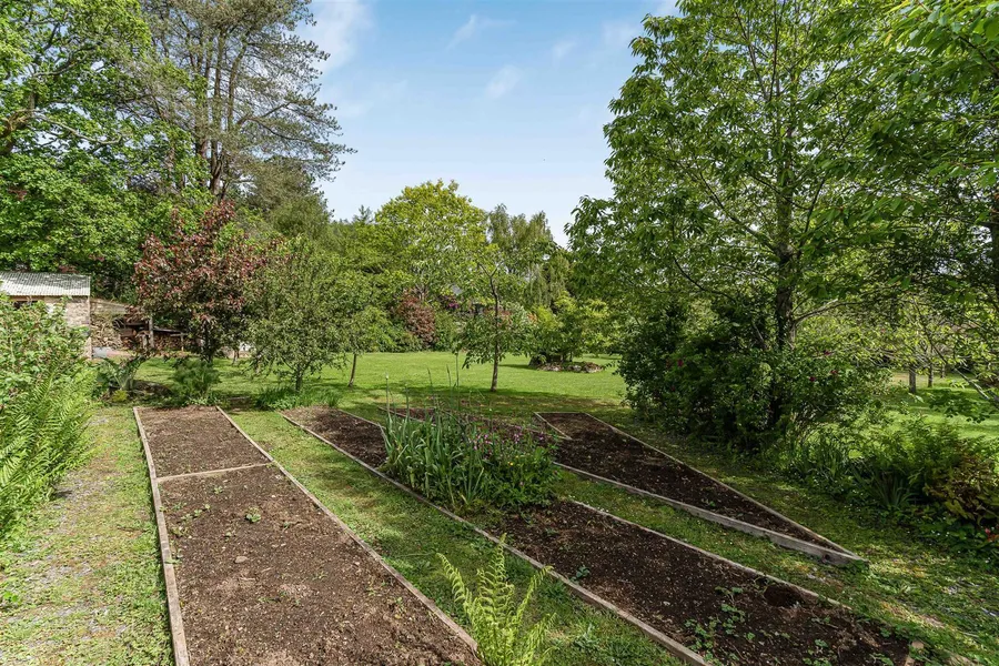 Property Image 49