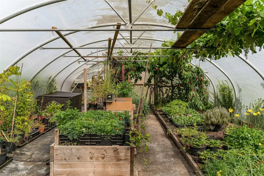 Property Image 50