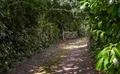 Property image gallery