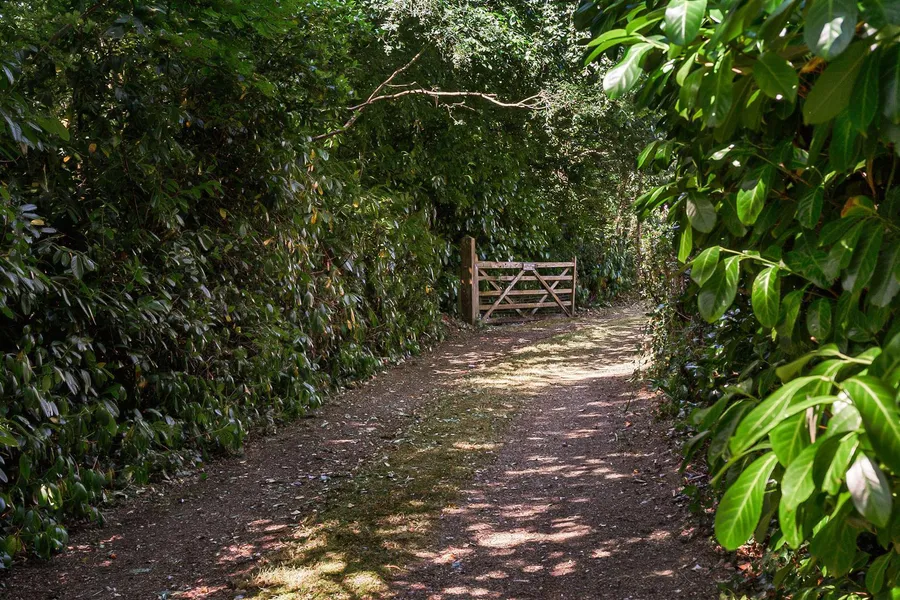 Property Image 34