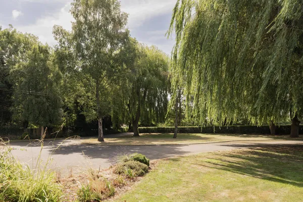 Mill Lane, Aldborough, NR11 photo 30