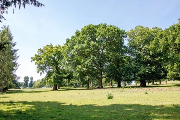 Julianas Court, Northwick Park, GL56 photo 18