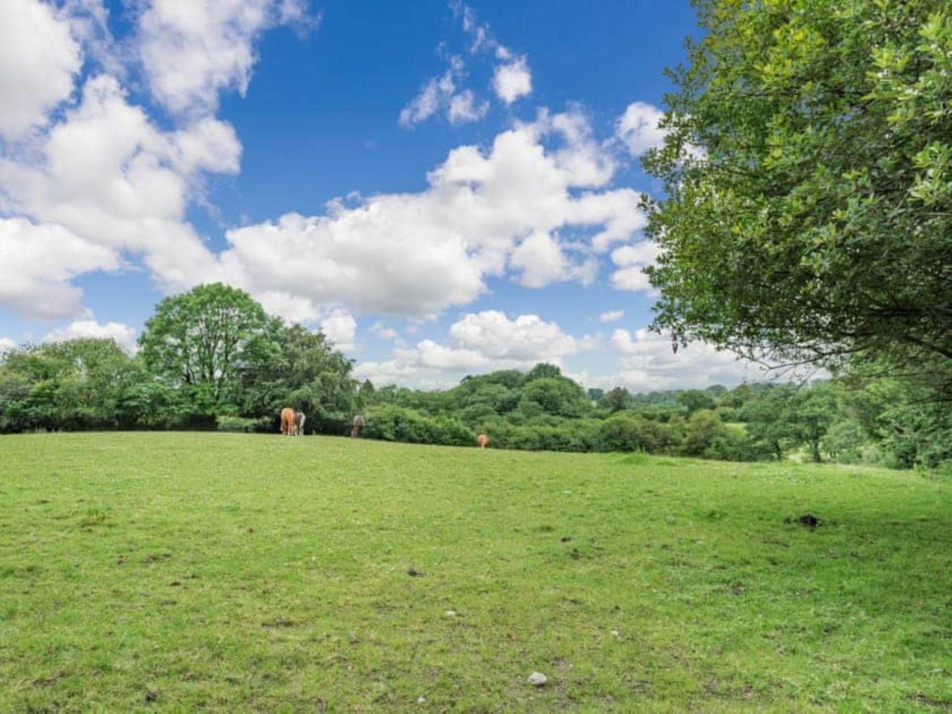Gorsgoch, Llanybydder, Ceredigion. Image 19
