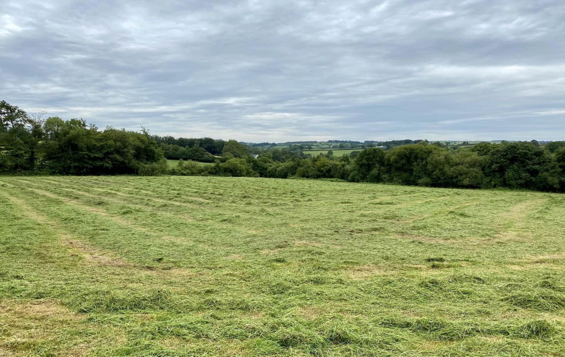 Gorsgoch, Llanybydder, Ceredigion. Image 21