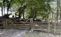 Property image gallery