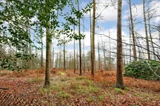 Common Lane, Burnham, SL1 photo 9
