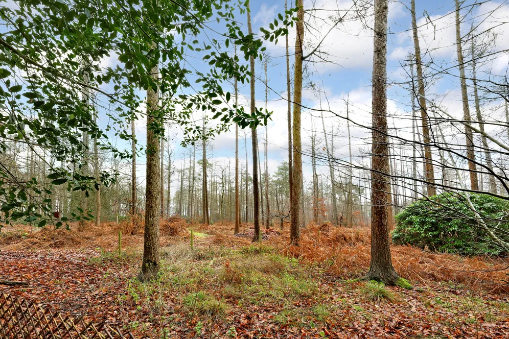 Common Lane, Burnham, SL1 photo 9