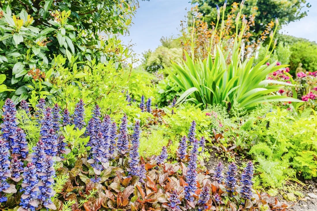Property photo 23