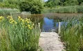 Property image gallery