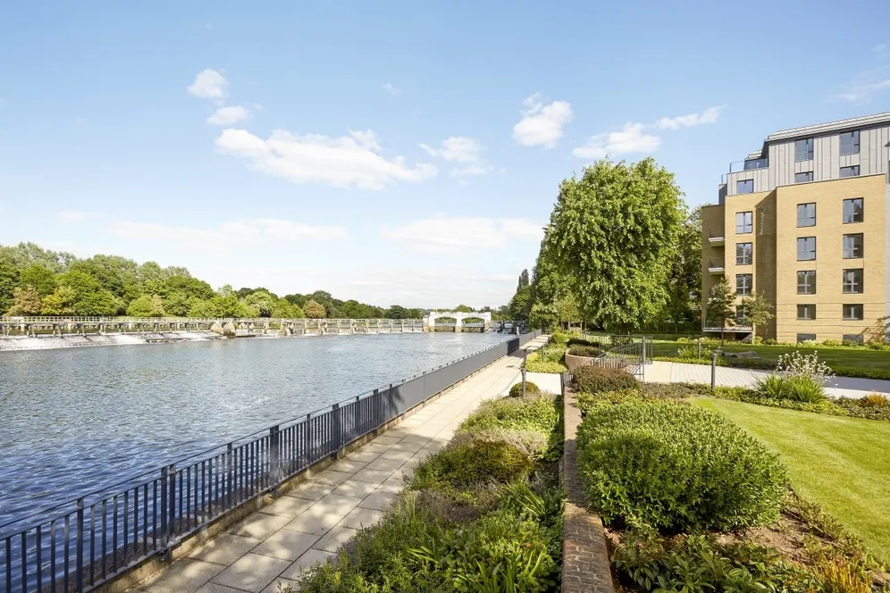 Pinewood Gardens Teddington TW11 photo 8