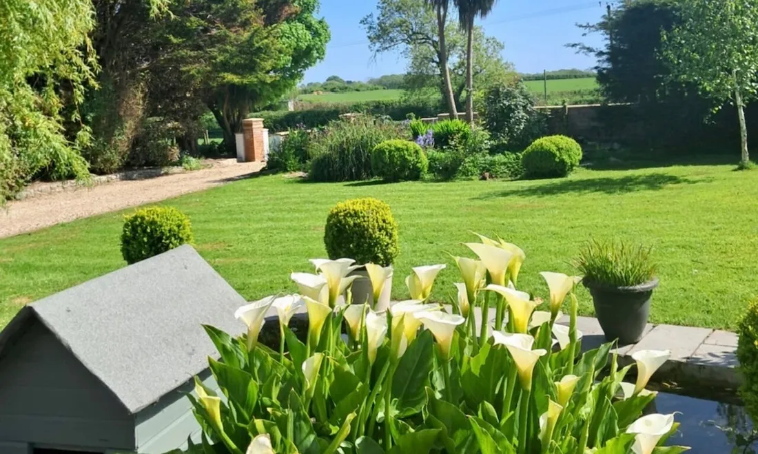 Property photo 25