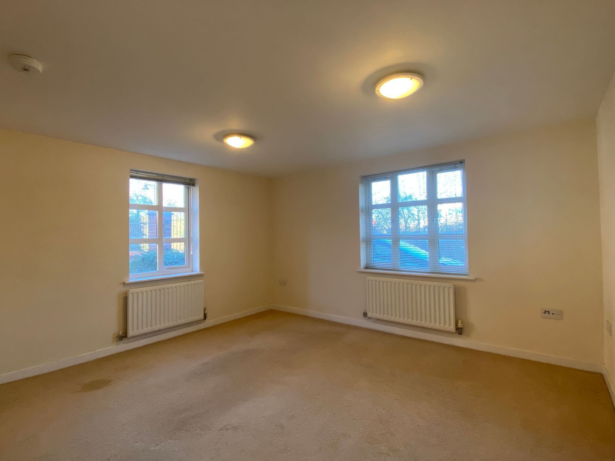 Massingham Park , Taunton Image 6