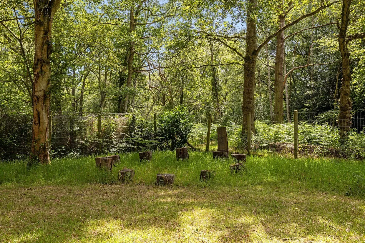 Fleet Hill, Wokingham, RG40 photo 23