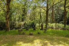 Fleet Hill, Wokingham, RG40 photo 23