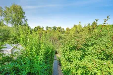 Sunnyhill Road, Hemel Hempstead