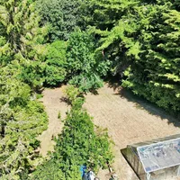 Property 20