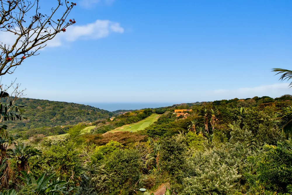 View image gallery of South Africa, KwaZulu Natal, Zimbali Estate, Club Drive, 38